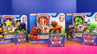 Paw Patrol Action Pack Pup & Badge Chase Zuma Rocky marshall rubbel