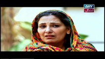 Dil-e-Barbad Episode 87 - on ARY Zindagi in High  Quality - 19th May 2017