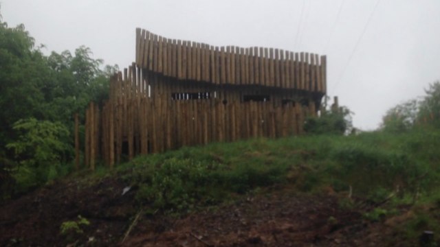 Restaurer la biodiversité sous les lignes à haute tension