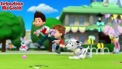 PAW Patrol - Marshall Tribute