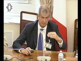 Roma - Strategia italiana per l’Artico, audizione Cnr (17.05.17)