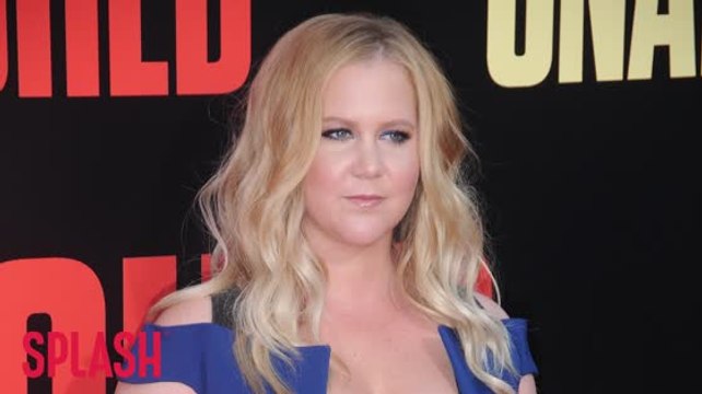 Amy Schumer Looking For 'Nice Guy' After Ben Hanisch Split
