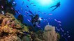 Scuba Dive the Islands of the Bahamas
