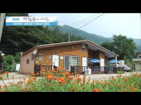 자연 밥상으로 남편을 살린 아내 [광화문의 아침] 26회 20150713