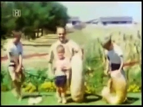 Air crash Investigation Mayday: DC 10 American Airlines Flight 191 - Falling Apart