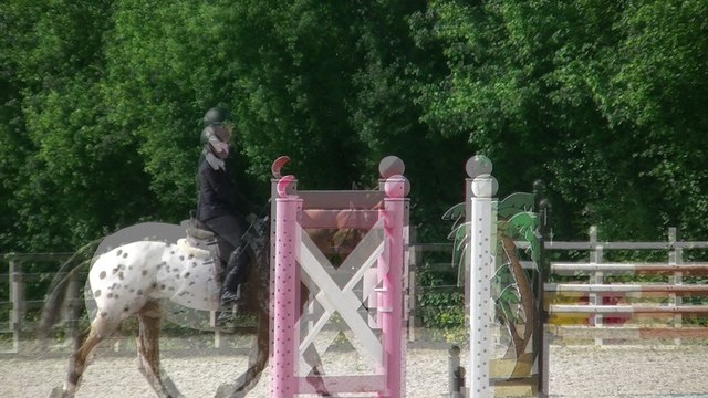 LOOZY HUNTER STYLE - 1ere place moyenne 15/20 ( 16/20 technique / 14/20 modele et allures)