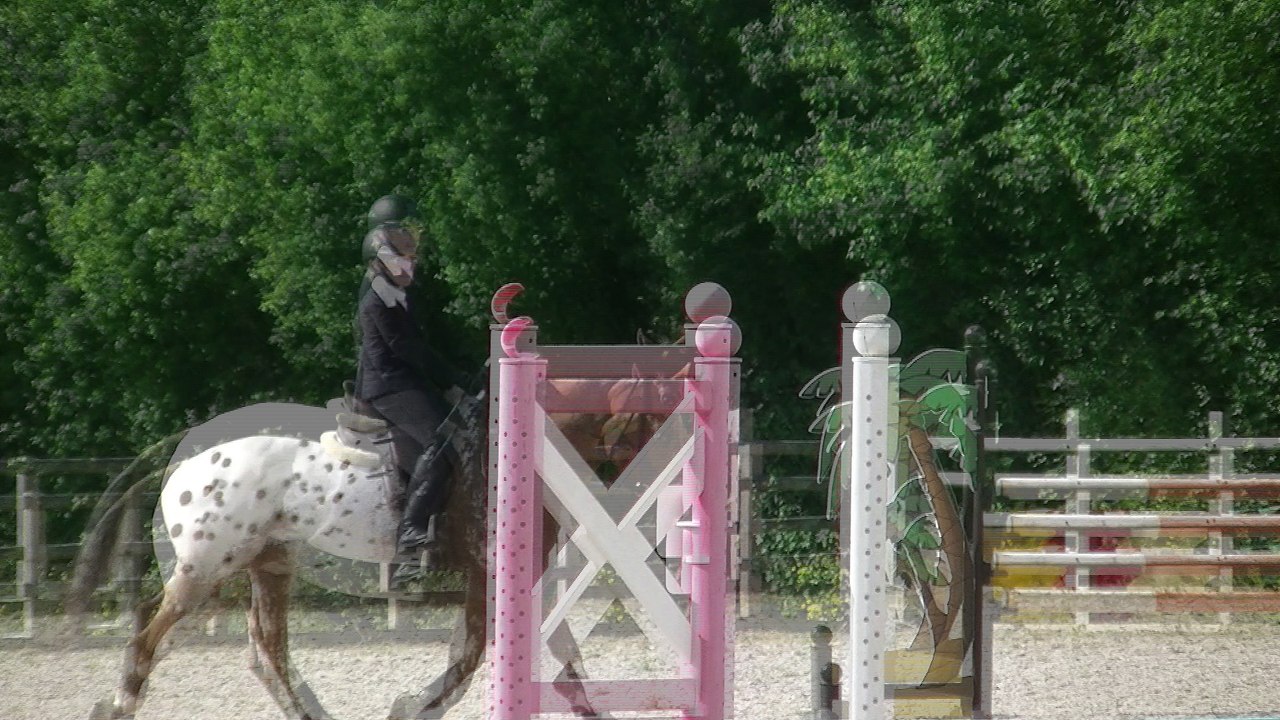 LOOZY HUNTER STYLE - 1ere place moyenne 15/20 ( 16/20 technique / 14/20 modele et allures)