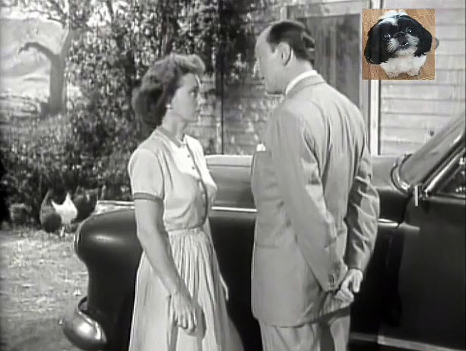 Lassie - S01 E09 Gramps