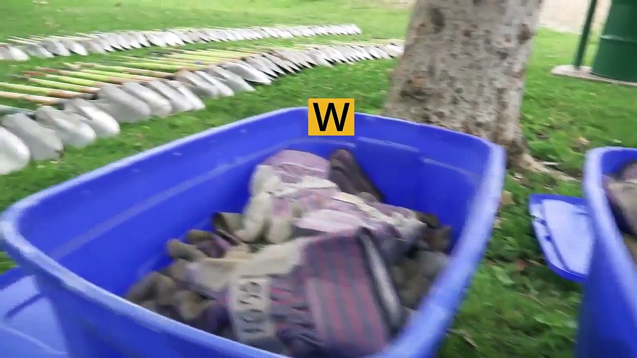 Volunteers Help Improve Green Space, Clean Air in Arcadia | Edison International