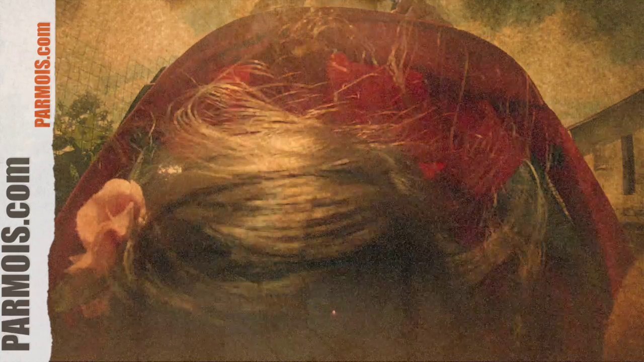 STEVE AUSTIN - LE BÉBÉ QUI VALAIT TROIS MILLIARDS