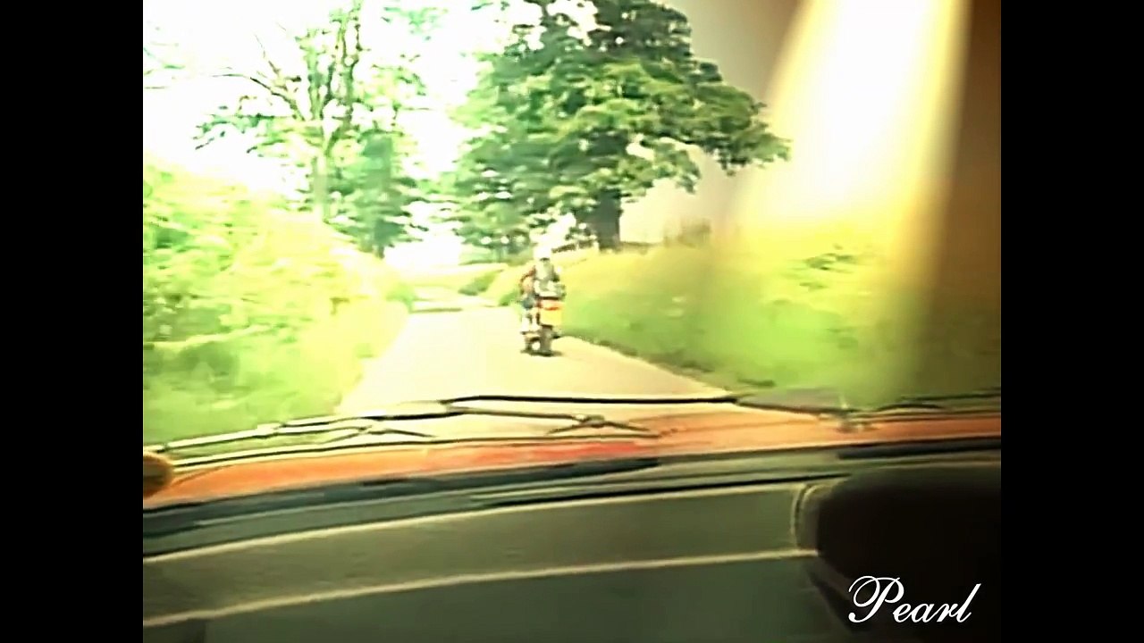 The Professionals - Ray Enternally - by Pearl Montana