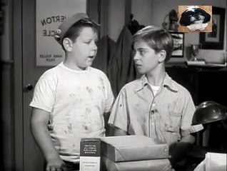 Lassie - S02E11 - newspaper, the