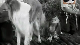 Lassie - S02 E24 Raft