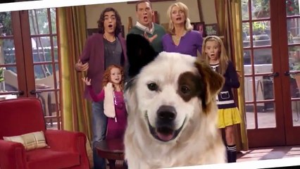 Dog With A Blog - S01 E01 Stan Of The House