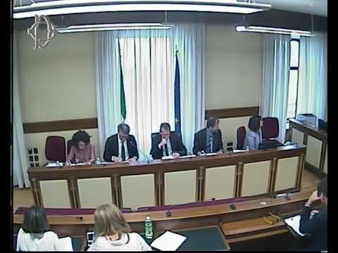 Roma - Audizione Cantone (18.05.17)