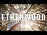 Etherwood - Album Mini Mix (Album out now on Medschool)