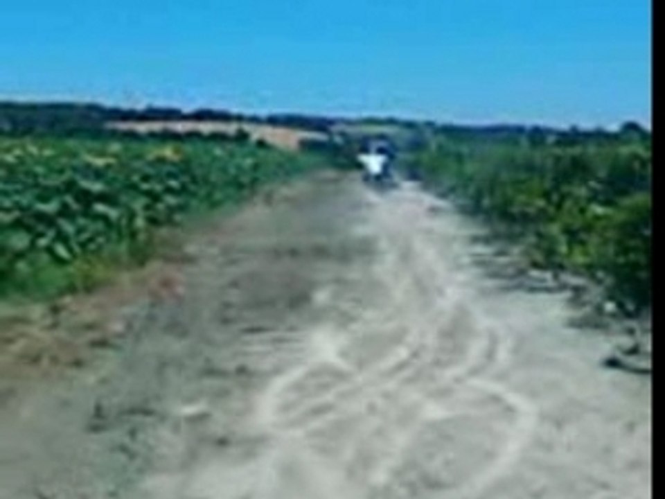 VID000