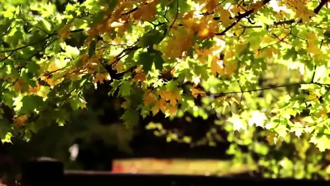 Burak Sönmez - Biraz Benden Biraz Senden