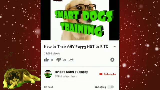 How To Train Your Dog to BARK , SPEAK & STOP BARKING in Hindi || dog training in india||