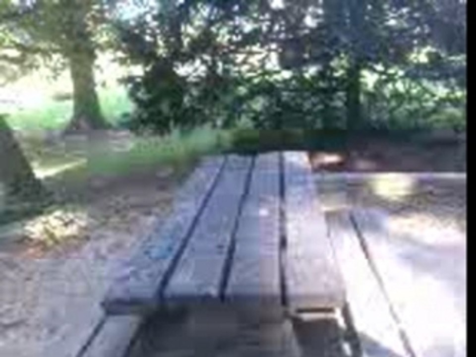 Parcour