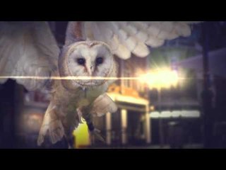 S.P.Y - Cold Harsh Air (feat. Total Science & Grimm) (OFFICIAL MUSIC VIDEO)