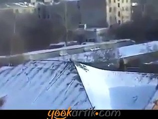 Kayak yapan karga. Bu kargalar çok akıllı )The skiing crow