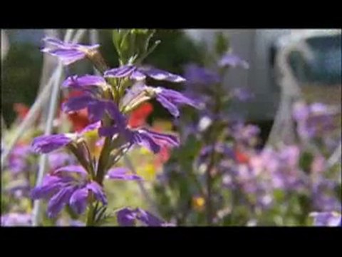 WIRED SCIENCE | Zone Creep | PBS