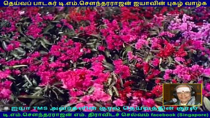 Thirumal Perumai SONG  (1968)  (TMS Legend)