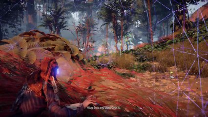 Horizon Zero Dawn™_20170519200520