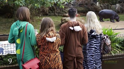 10 MOST SHOCKING MOMENTS AT THE ZOO