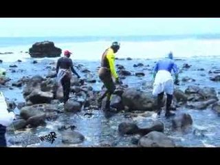 102  DOOR WAAR   Plongeurs   Partie 1