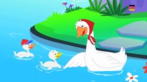 Fünf kleine Enten _ Karikatur für Kinder _ Beliebt Kinderlied _Five Little Ducks