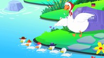 Fünf kleine Enten _ Karikatur für Kinder _ Beliebt Kinderlied _Five Little Ducks-9FxmfSf2