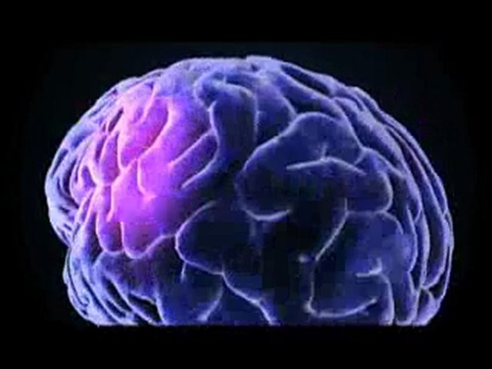 WIRED SCIENCE | Lie Detectors | PBS