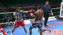 Buakaw vs. Andre Dida ( บัวขาว-หน้ากากเสือ )