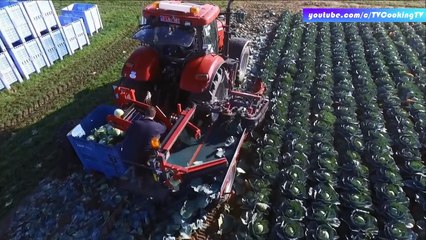 Amazing food processing   Harvesting Machine