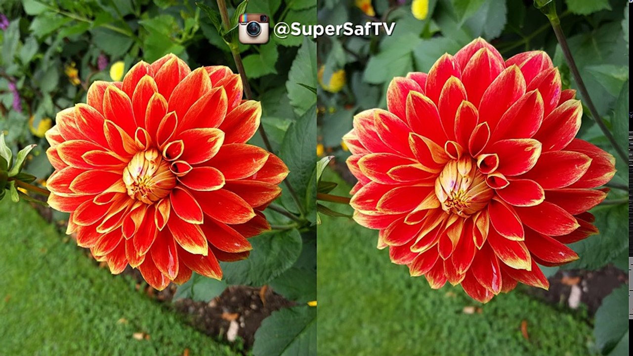 OnePlus 2 vs Samsung Galaxy S6 Camera Test Comparison