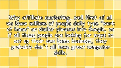 Why Is Affiliate Marketing So Suitable for Newbie's Online