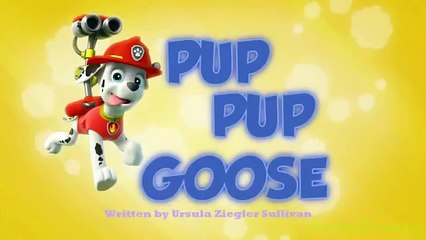 Paw Patrol English Pup Pup Goose Pup Pup and Away part 1 brief episode