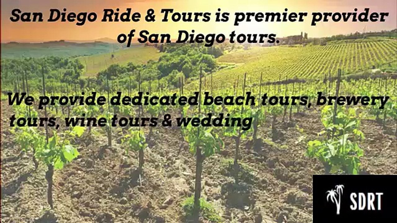 Temecula Wine Country Tour