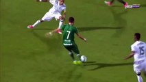 Chapecoense-SC 1-0 Palmeiras Luiz Antonio Goal & Highlights
