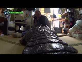 주택가에 거대한 악어가 나타났다?! [기막힌 세상 요지경] 1회 20150312