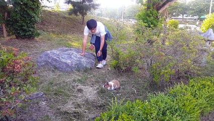 Smart Rabbit (Don't Touch Me) Must Watch