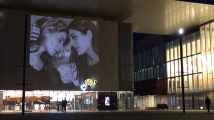Projection "Les couples de la République"