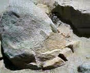 tips to start manifesting your success