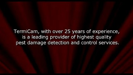 Looking For Pest Protection Services - Termicam.com