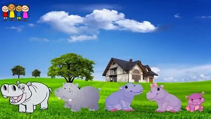 Baby Song   Mango-Tomato Fingeily Song for Toddlers   Songs for Children