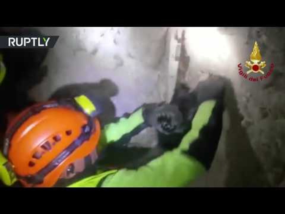 Dog rescued by firefighters from earthquake rubble in Italy