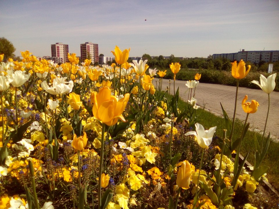 Gartenzeit TV spezial - 'Frühling auf der IGA 2017 in Berlin'