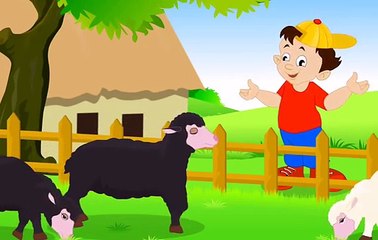 Baba baba black sheep - Nursery Rhyme